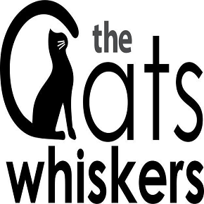 The Cats Whiskers Alva Evening at Apex Vets